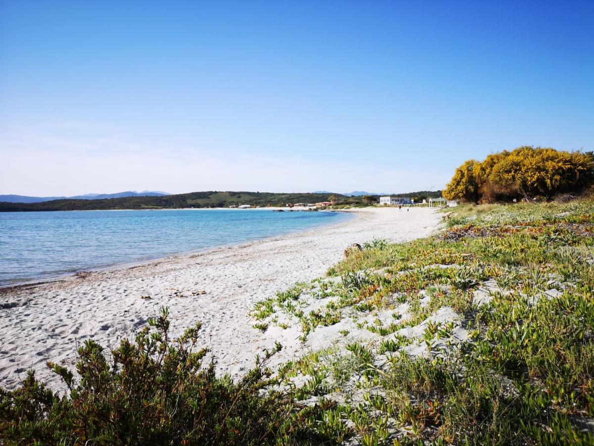 Insardinia House Trilocale A 200Mt Dalla Spiaggia Olbia Eksteriør bilde