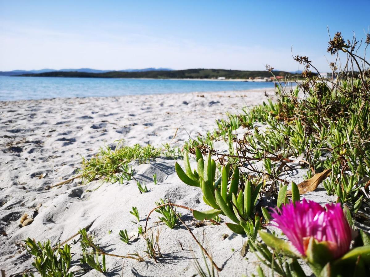 Insardinia House Trilocale A 200Mt Dalla Spiaggia Olbia Eksteriør bilde
